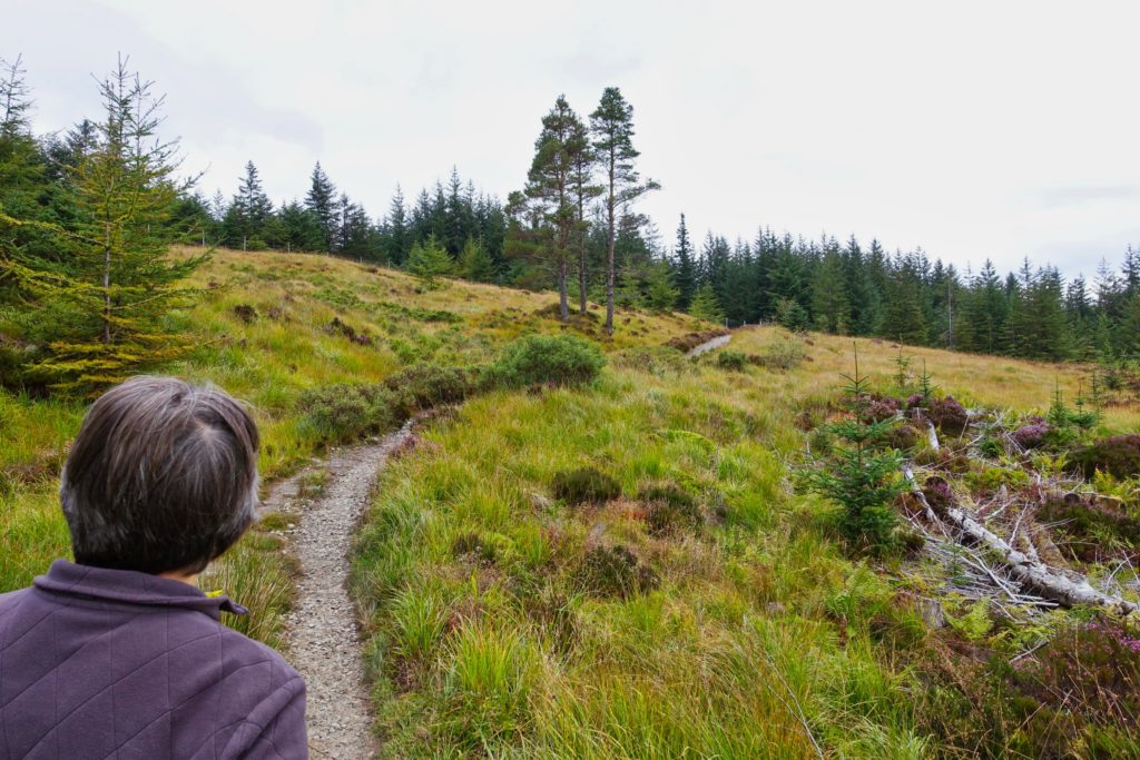 Hinter Bridge of Orchy wurde es waldig