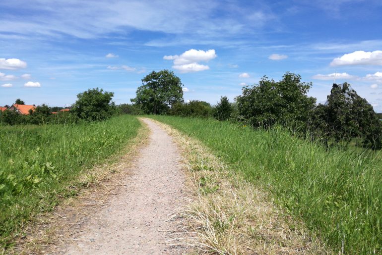 Deichkrone des Estedeiches, ständiger Begleiter auf dem Estewanderweg