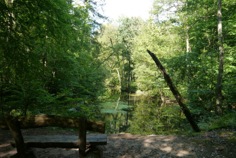 Eine der schönsten Bänke für eine Pause seit langem