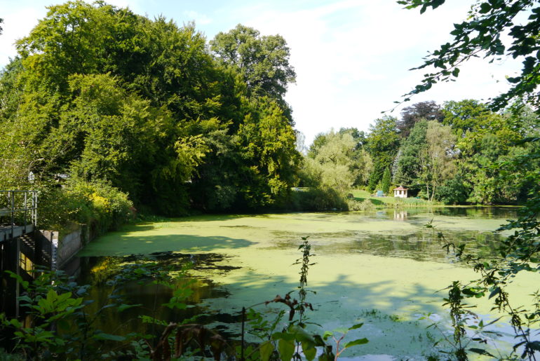 Mühlteich der Kupfermühle