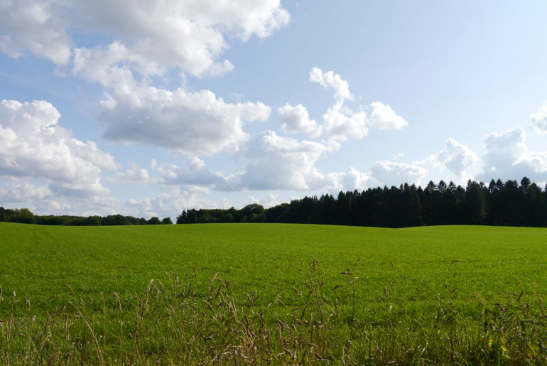 ...und saftig grün.