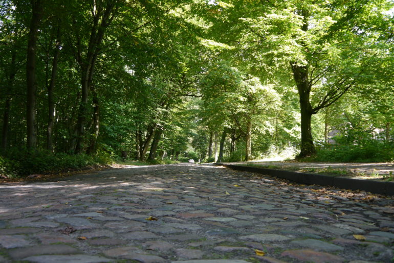 Altes Kopfsteinpflaster führt langsam in den Wohldorfer Wald