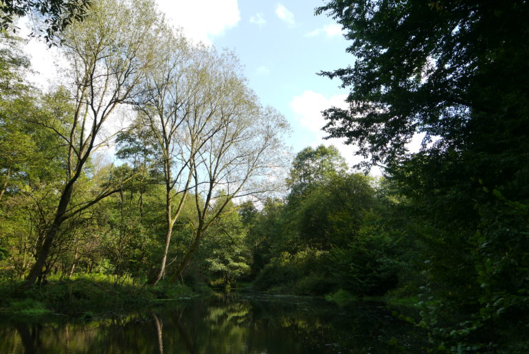 Ein "Pausenteich"