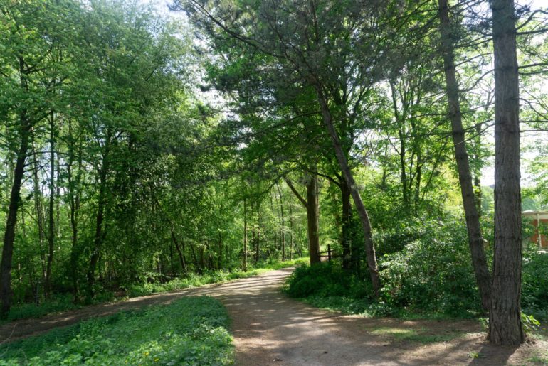 Carl-Stamm-Park