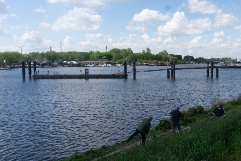 Billwerder Bucht (Hafen)