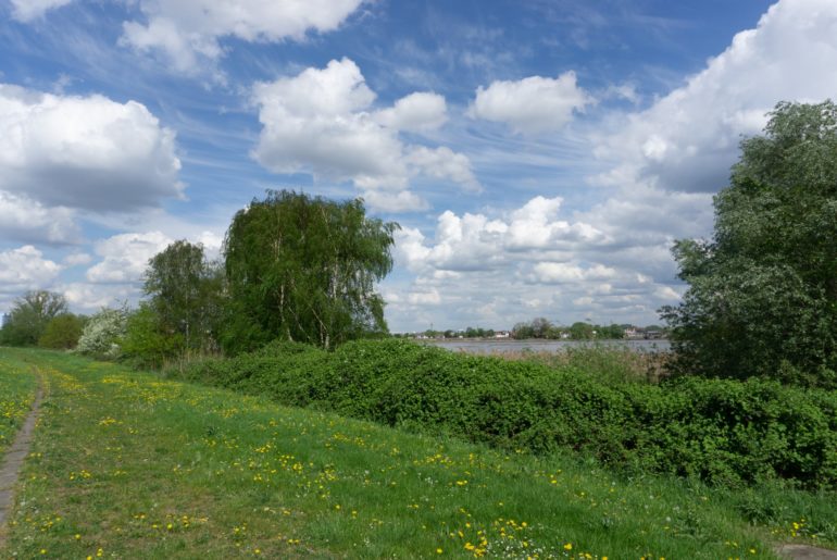 Wasserkunst Elbinsel Kaltehofe