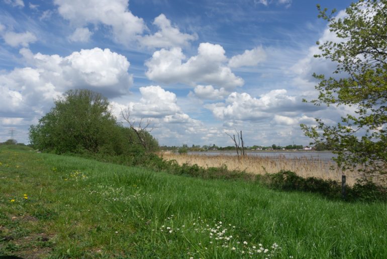 Blick über die Billwerder Bucht