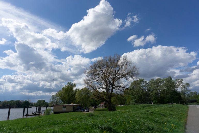 Blick zum Entenwerder Fährhaus